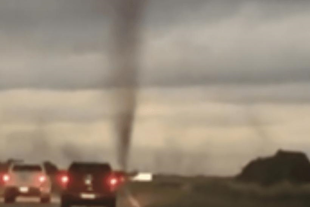 Tornado de mosquitos é registrado na Argentina