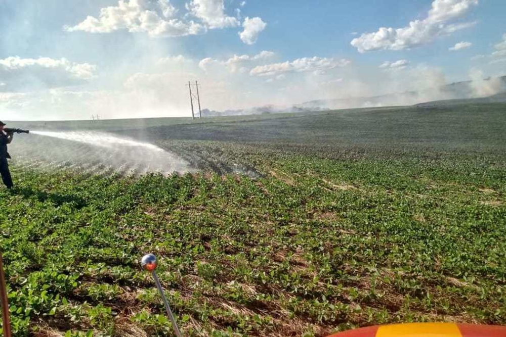 Fogo consome 16 hectares de lavoura soja em Soledade