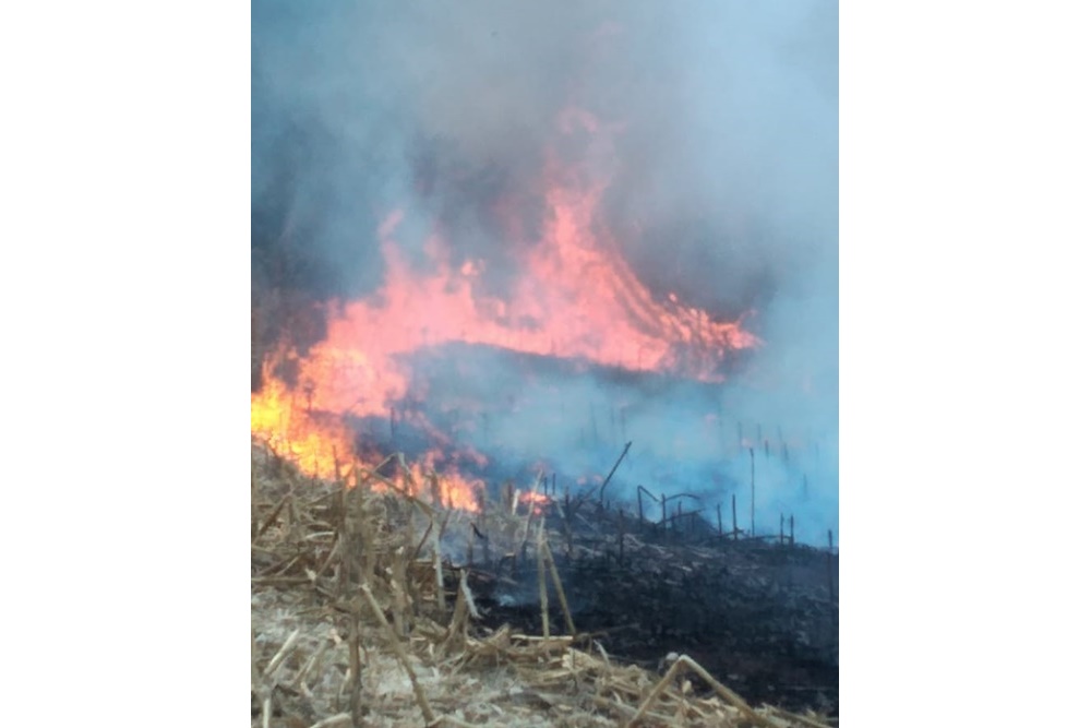 Incêndio atinge reserva Indígena do Guarita em Tenente Portela