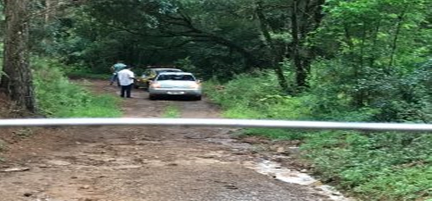 Ossada humana é encontrada em matagal na Zona Norte de Caxias