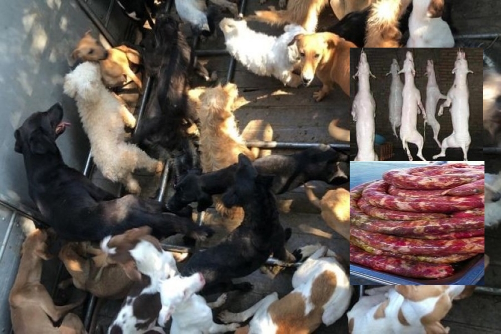 Família é presa suspeita de usar carne de cachorro para fazer linguiça no Espírito Santo