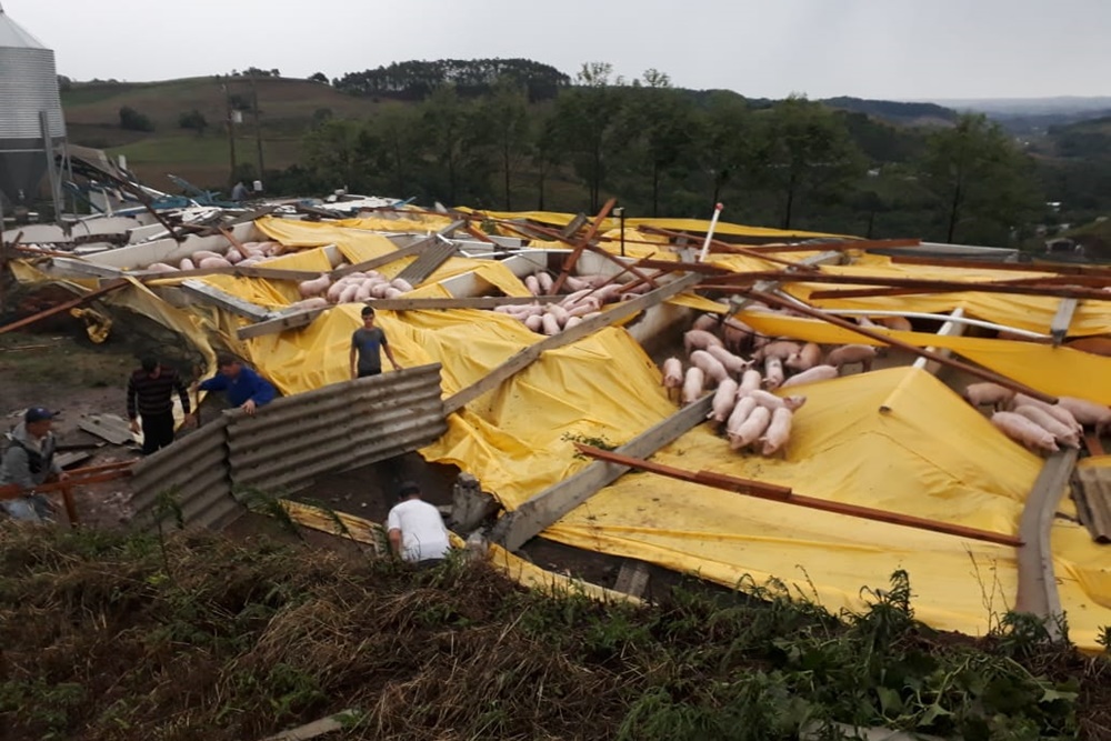 VÍDEO: Temporal causa estragos em propriedades rurais de Pinhal