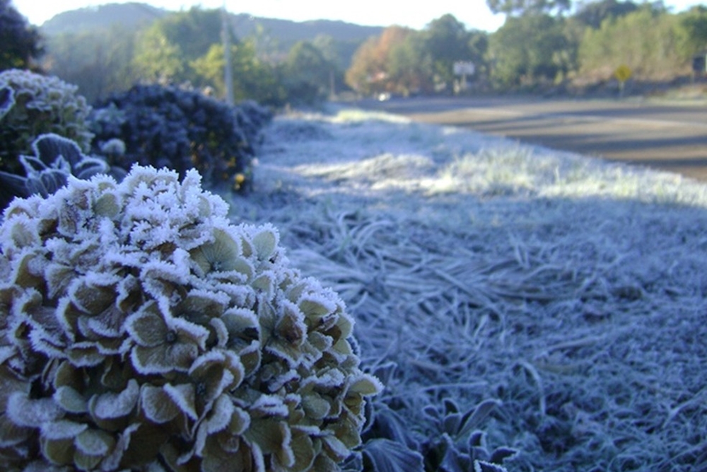 MetSul alerta para onda de frio intenso e possibilidade de neve no Sul do país