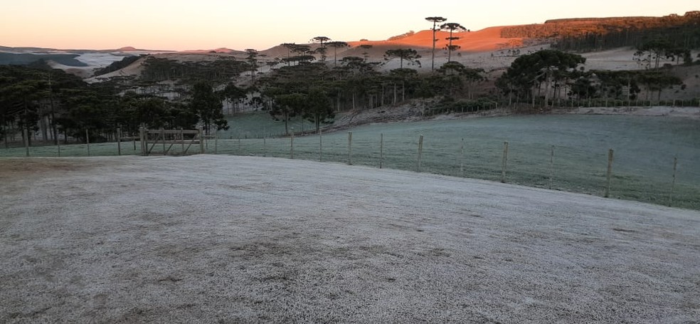 RS registra geada e temperatura negativa na Serra