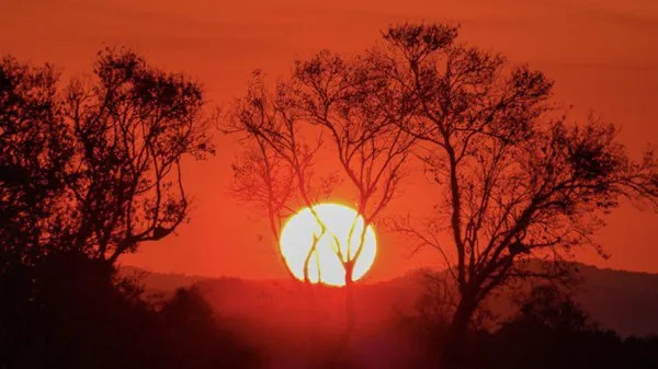 Termômetros podem alcançar 39ºC nesta semana no RS