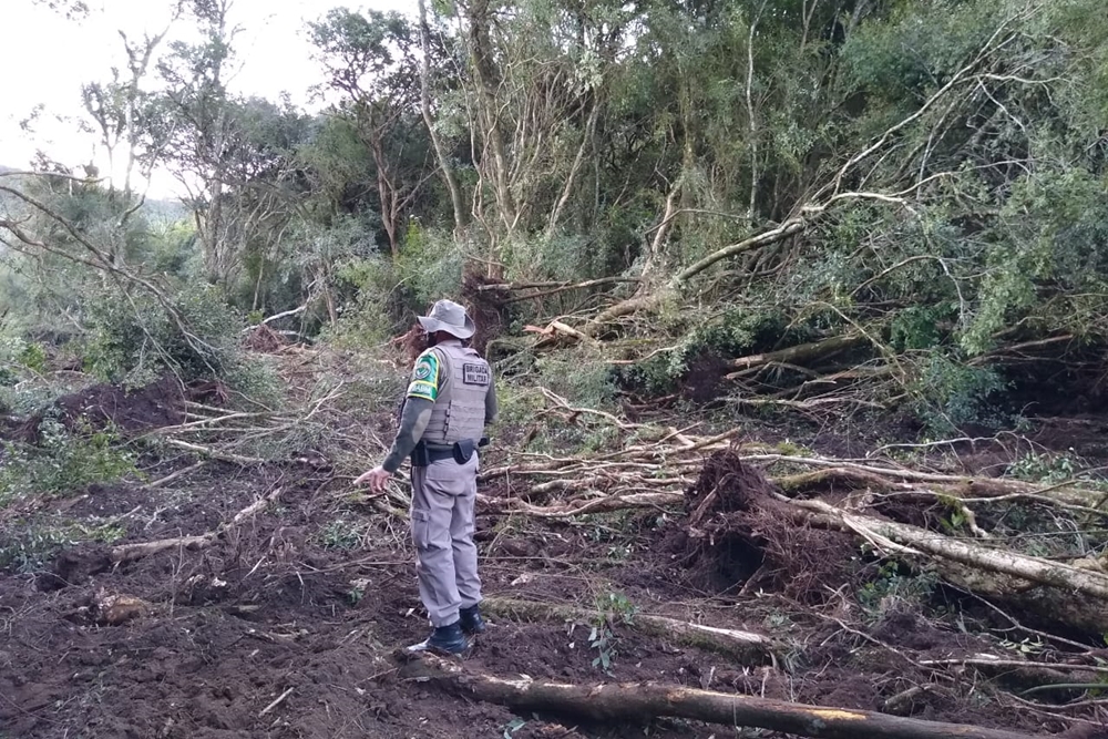 Polícia Ambiental de Nonoai flagra crime ambiental em Trindade do Sul