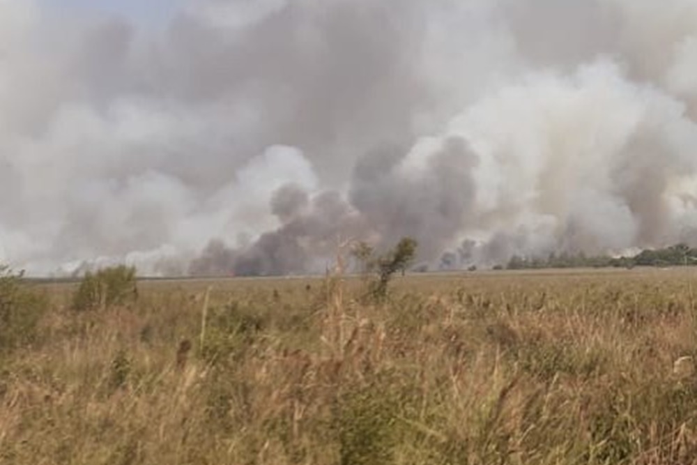 Incêndio florestal na Argentina está fora de controle