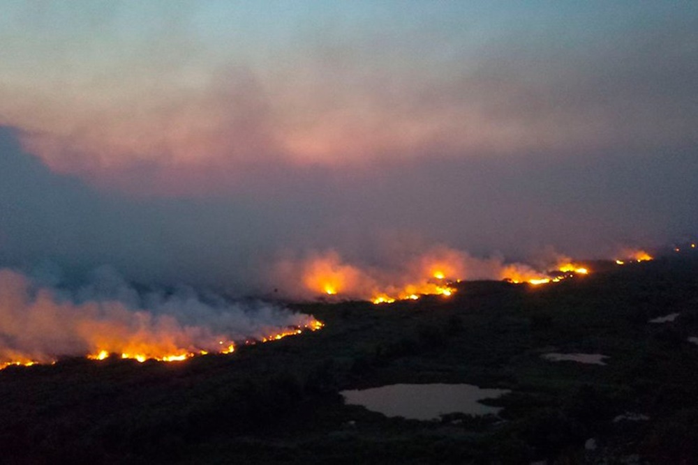 Agravamento de incêndios em Mato Grosso do Sul mobiliza senadores