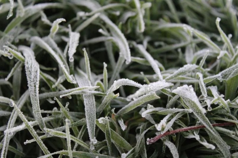 -2ºC: Santa Catarina registra a menor temperatura do ano até o momento