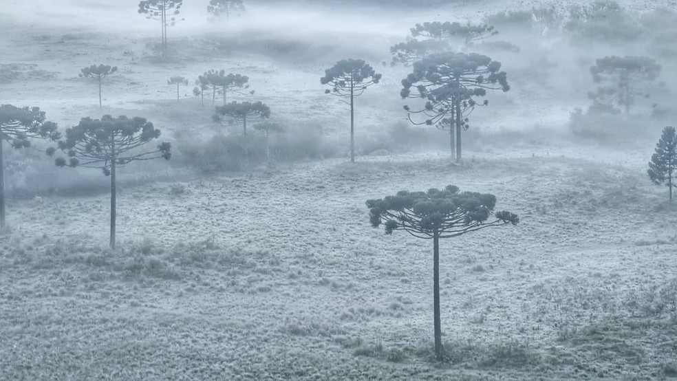 Serra de SC amanhece com temperaturas negativas e geada nesta quinta-feira